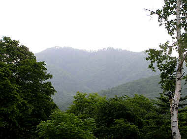 宮城沢林道入口付近から望む阿部山