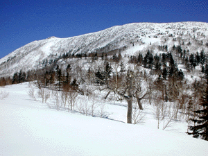 .1178m�R���t�߂����[�R