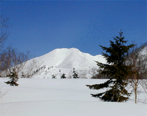 .1178m�R������]�ޕx�ǖ�x