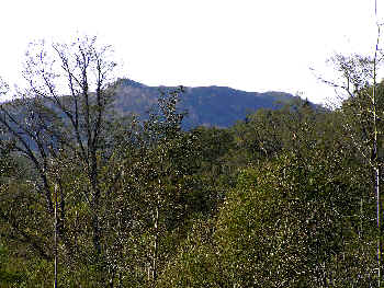 シートートムシメヌ山
